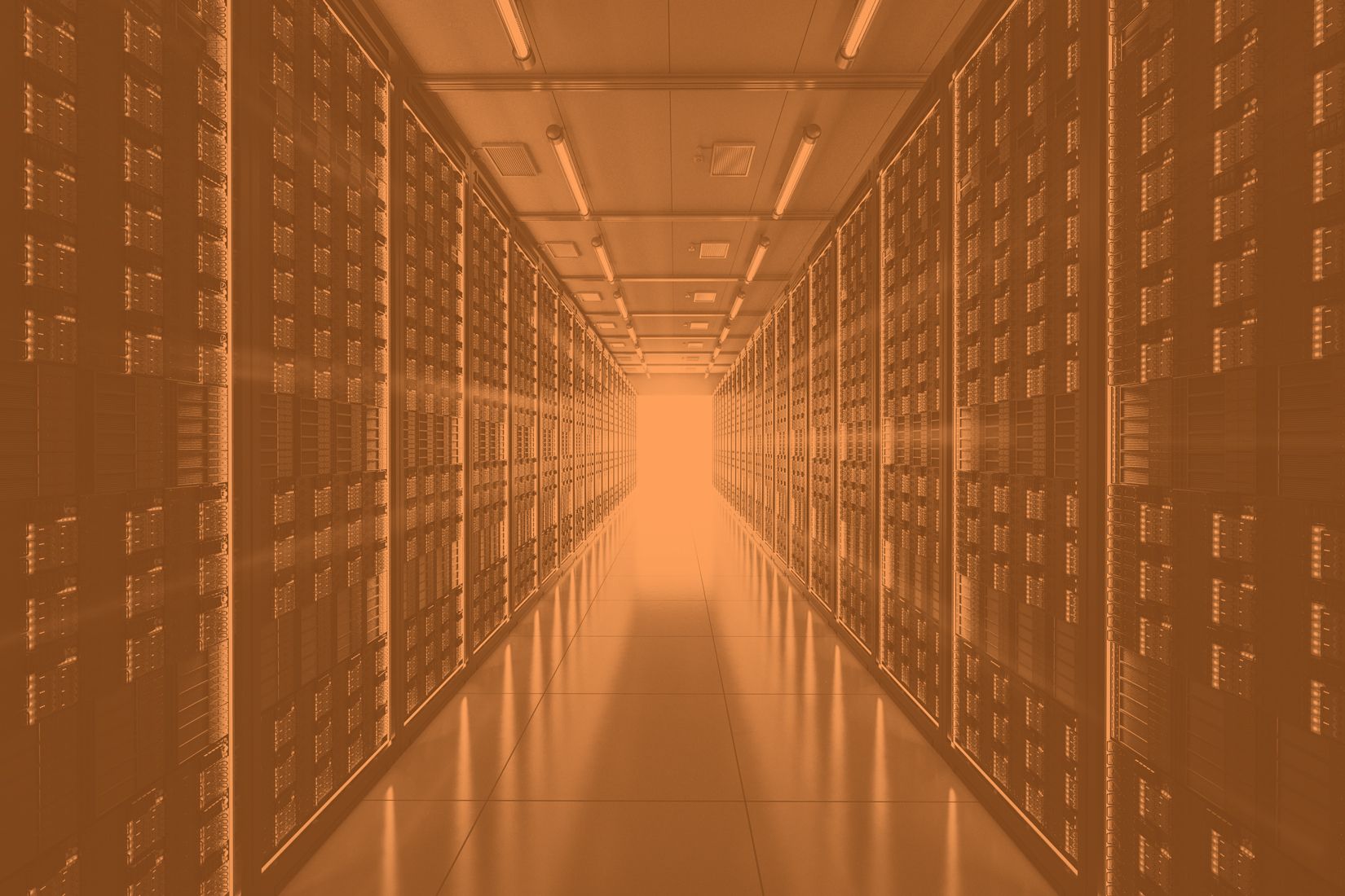 ¿Por qué es importante elegir un buen Hosting para tu Sitio en WordPress?