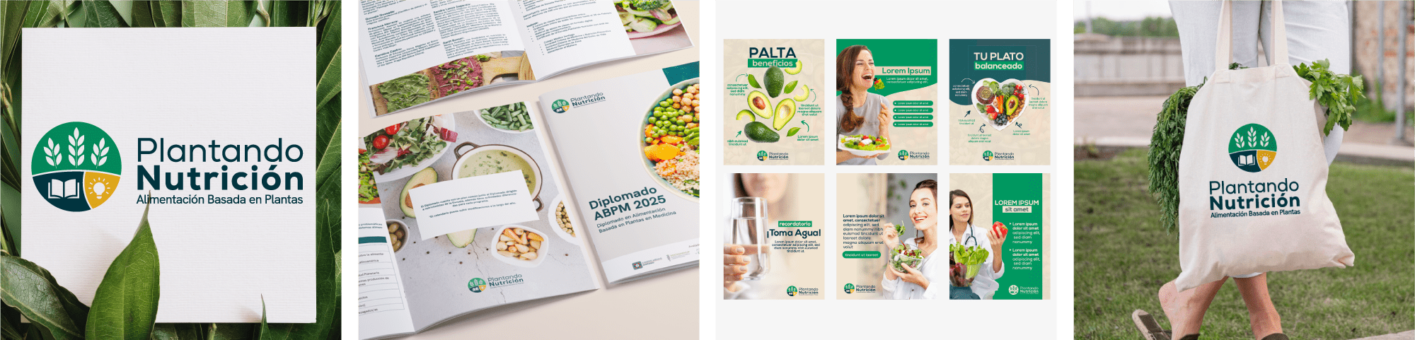 Diseño identidad corporativa y desarrollo piezas gráficas